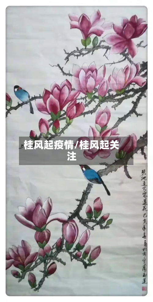 桂风起疫情/桂风起关注