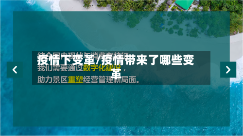 疫情下变革/疫情带来了哪些变革