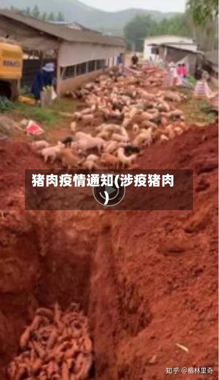 猪肉疫情通知(涉疫猪肉)