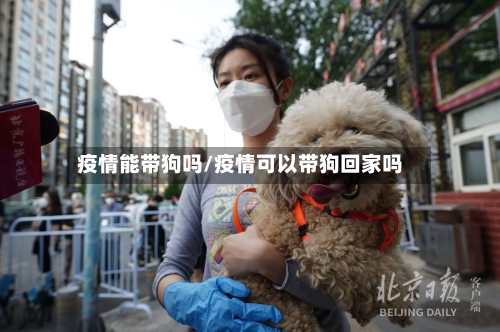 疫情能带狗吗/疫情可以带狗回家吗
