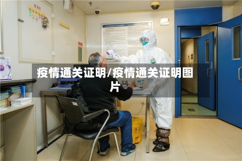 疫情通关证明/疫情通关证明图片