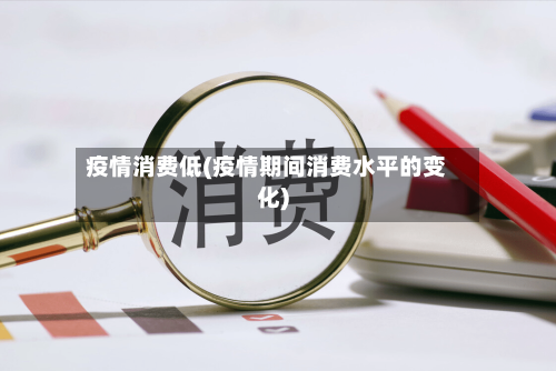 疫情消费低(疫情期间消费水平的变化)