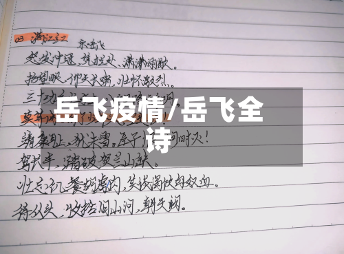 岳飞疫情/岳飞全诗