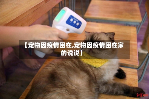 【宠物因疫情困在,宠物因疫情困在家的说说】