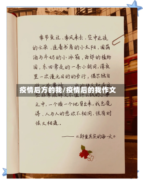 疫情后方的我/疫情后的我作文