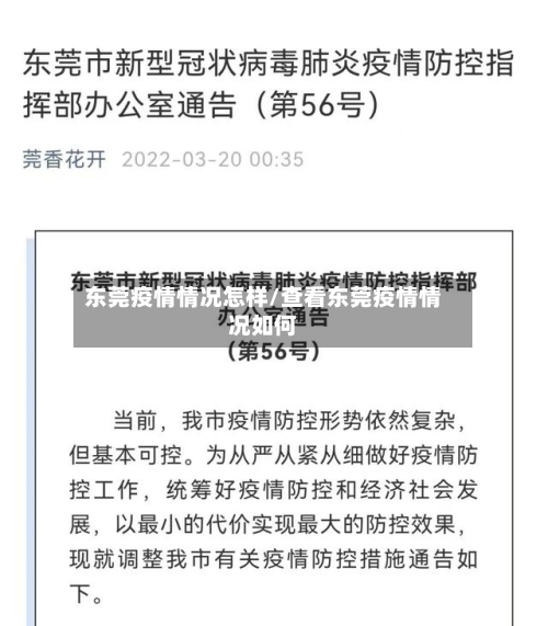 东莞疫情情况怎样/查看东莞疫情情况如何