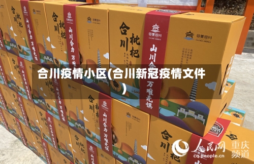 合川疫情小区(合川新冠疫情文件)