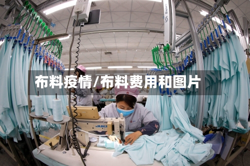布料疫情/布料费用和图片-第1张图片