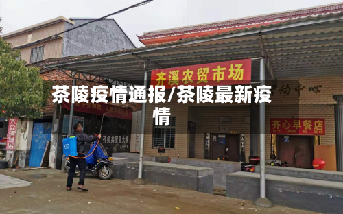 茶陵疫情通报/茶陵最新疫情