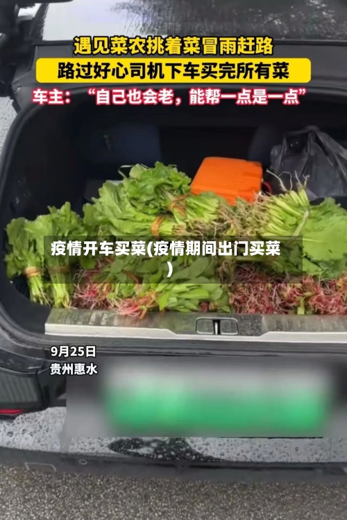 疫情开车买菜(疫情期间出门买菜)
