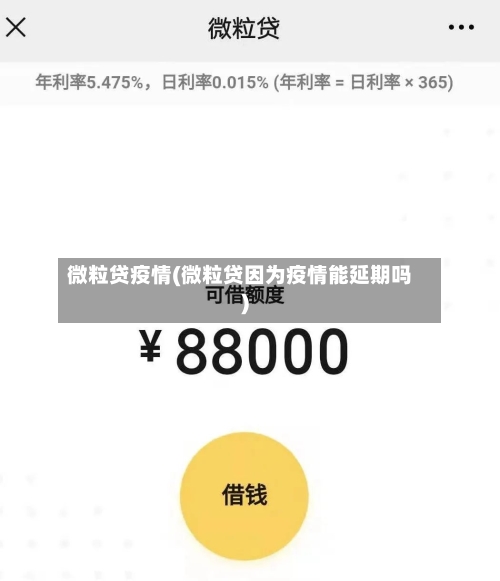 微粒贷疫情(微粒贷因为疫情能延期吗)