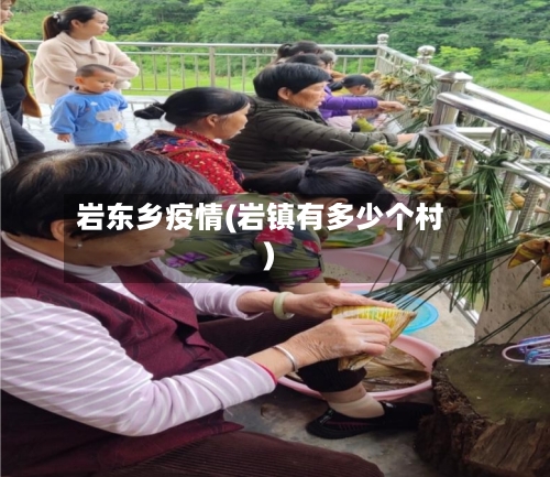 岩东乡疫情(岩镇有多少个村)