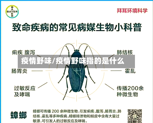 疫情野味/疫情野味指的是什么