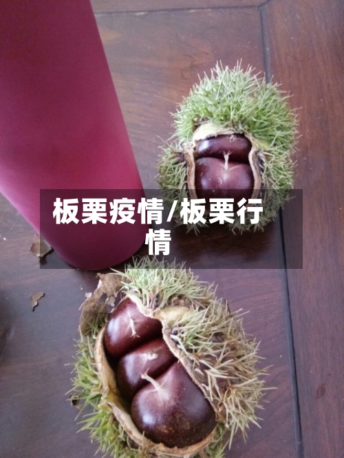 板栗疫情/板栗行情