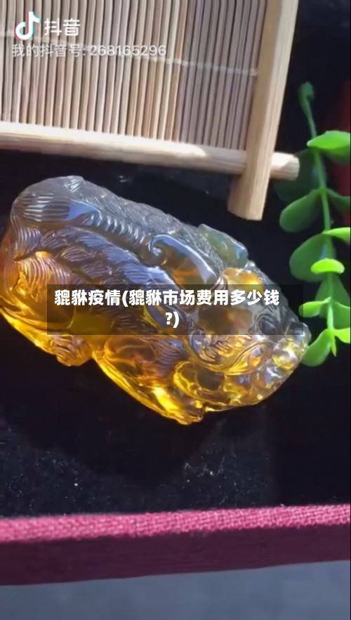 貔貅疫情(貔貅市场费用多少钱?)