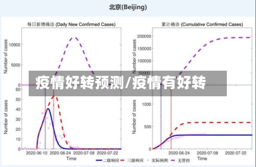 疫情好转预测/疫情有好转