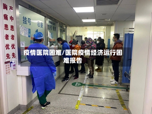 疫情医院困难/医院疫情经济运行困难报告