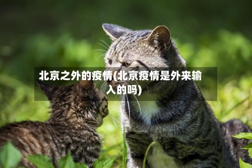 北京之外的疫情(北京疫情是外来输入的吗)