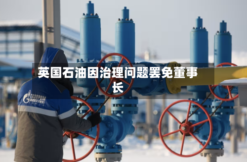 英国石油因治理问题罢免董事长