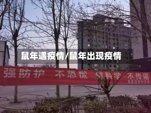 鼠年遇疫情/鼠年出现疫情
