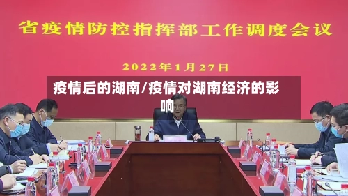 疫情后的湖南/疫情对湖南经济的影响