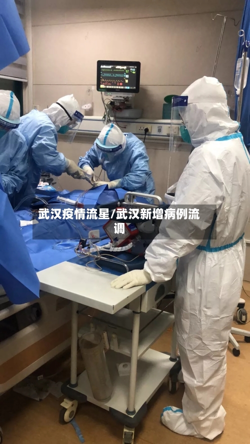 武汉疫情流星/武汉新增病例流调
