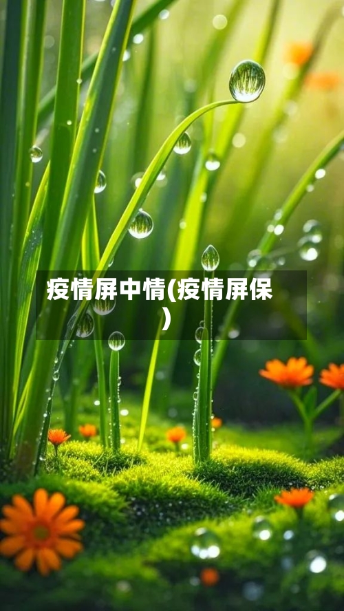 疫情屏中情(疫情屏保)