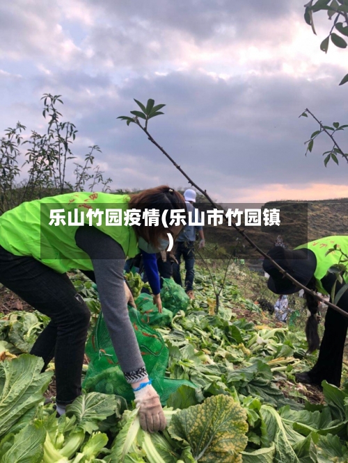 乐山竹园疫情(乐山市竹园镇)