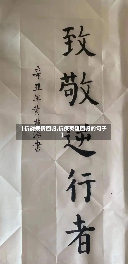 【抗战疫情回归,抗疫英雄回归的句子】