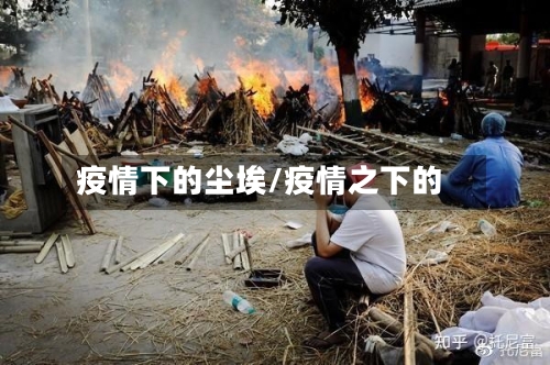 疫情下的尘埃/疫情之下的