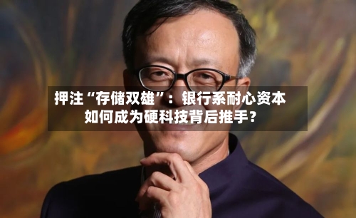 押注“存储双雄”：银行系耐心资本如何成为硬科技背后推手？