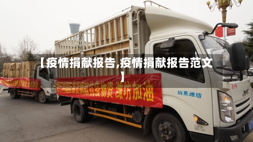 【疫情捐献报告,疫情捐献报告范文】
