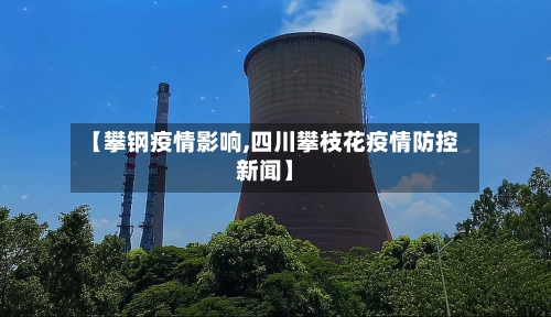 【攀钢疫情影响,四川攀枝花疫情防控新闻】