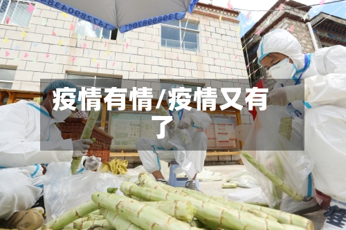 疫情有情/疫情又有了